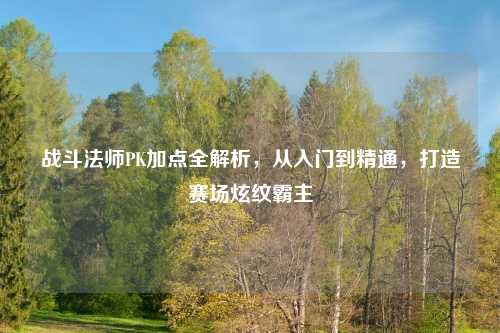战斗法师PK加点全解析，从入门到精通，打造赛场炫纹霸主