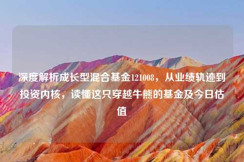 深度解析成长型混合基金121008，从业绩轨迹到投资内核，读懂这只穿越牛熊的基金及今日估值