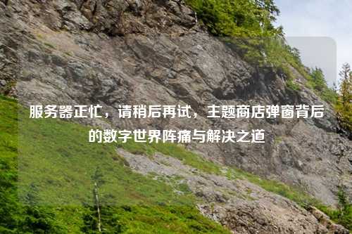 服务器正忙，请稍后再试，主题商店弹窗背后的数字世界阵痛与解决之道