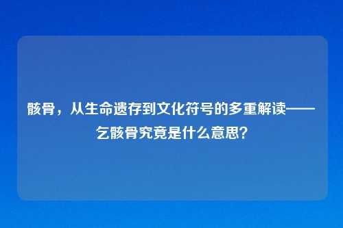 骸骨，从生命遗存到文化符号的多重解读——乞骸骨究竟是什么意思？