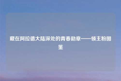 藏在阿拉德大陆深处的青春勋章——领主粉图鉴
