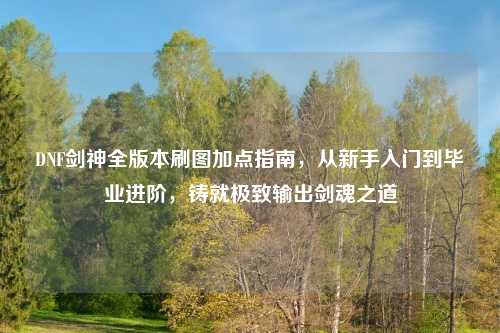 DNF剑神全版本刷图加点指南，从新手入门到毕业进阶，铸就极致输出剑魂之道
