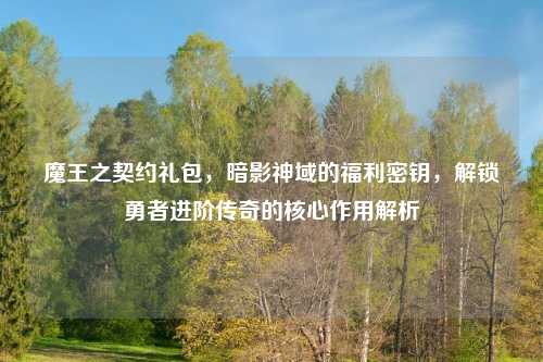 魔王之契约礼包，暗影神域的福利密钥，解锁勇者进阶传奇的核心作用解析