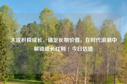 大成积极成长，锚定长期价值，在时代浪潮中解锁成长红利 | 今日估值