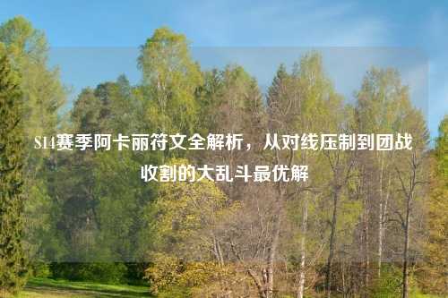 S14赛季阿卡丽符文全解析，从对线压制到团战收割的大乱斗更优解