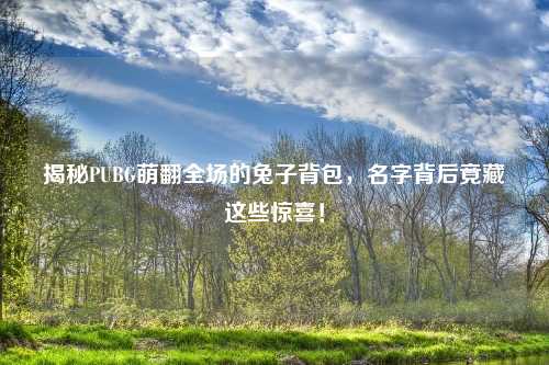 揭秘PUBG萌翻全场的兔子背包，名字背后竟藏这些惊喜！