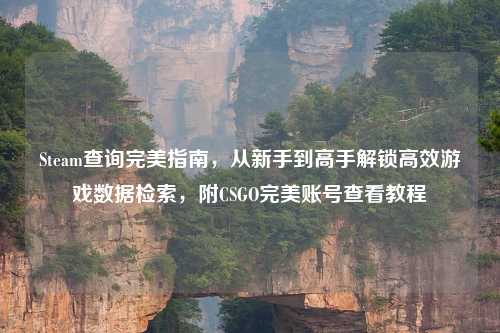 Steam查询完美指南，从新手到高手解锁高效游戏数据检索，附CSGO完美账号查看教程