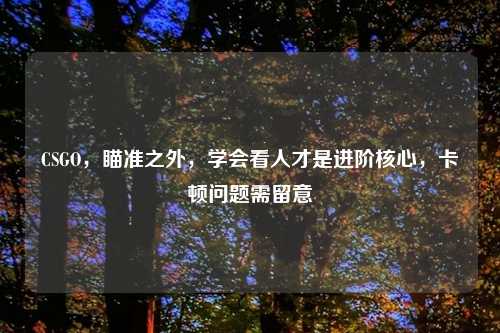 CSGO，瞄准之外，学会看人才是进阶核心，卡顿问题需留意