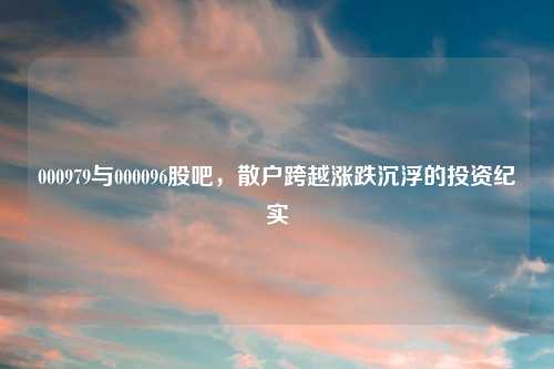 000979与000096股吧，散户跨越涨跌沉浮的投资纪实