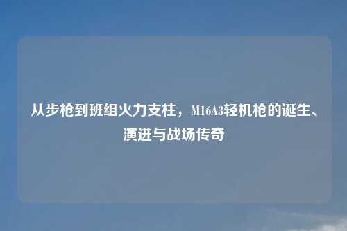 从步枪到班组火力支柱，M16A3轻机枪的诞生、演进与战场传奇