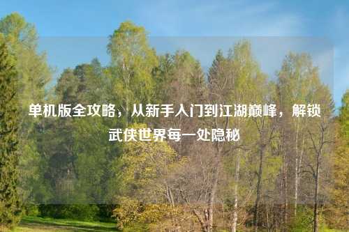单机版全攻略，从新手入门到江湖巅峰，解锁武侠世界每一处隐秘