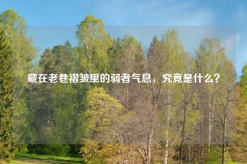 藏在老巷褶皱里的弱者气息，究竟是什么？