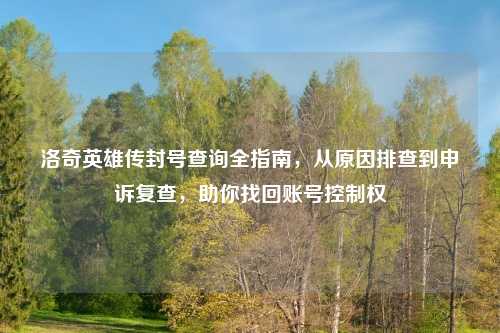 洛奇英雄传封号查询全指南，从原因排查到申诉复查，助你找回账号控制权