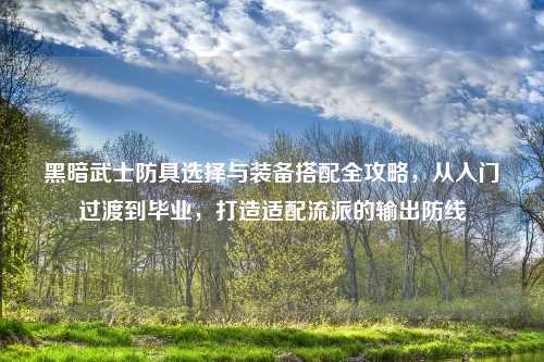 黑暗武士防具选择与装备搭配全攻略，从入门过渡到毕业，打造适配流派的输出防线