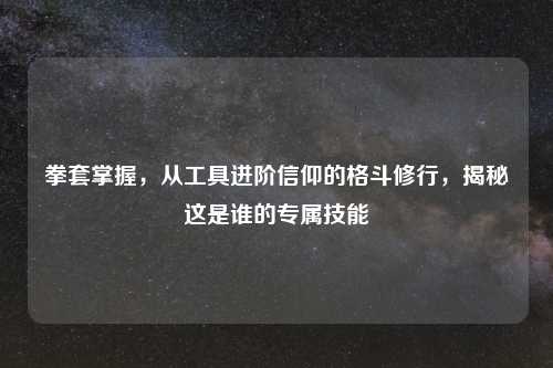 拳套掌握，从工具进阶信仰的格斗修行，揭秘这是谁的专属技能