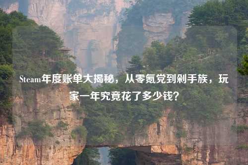 Steam年度账单大揭秘，从零氪党到剁手族，玩家一年究竟花了多少钱？
