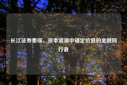 长江证券秦瑶，资本浪潮中锚定价值的金融同行者