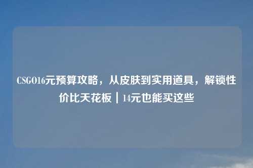 CSGO16元预算攻略，从皮肤到实用道具，解锁性价比天花板｜14元也能买这些