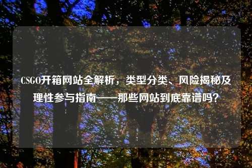 CSGO开箱网站全解析，类型分类、风险揭秘及理性参与指南——那些网站到底靠谱吗？