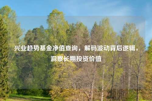 兴业趋势基金净值查询，解码波动背后逻辑，洞察长期投资价值