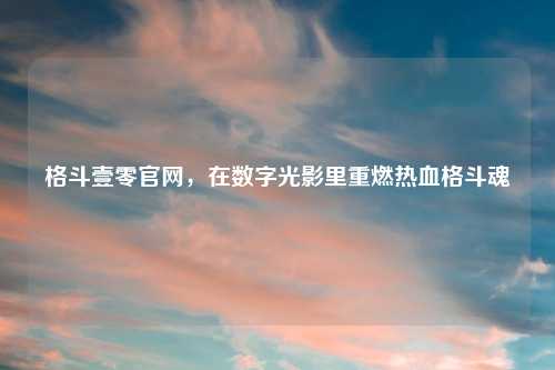 格斗壹零官网，在数字光影里重燃热血格斗魂