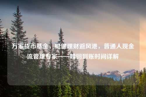 万家货币基金，稳健理财避风港，普通人现金流管理专家——赎回到账时间详解