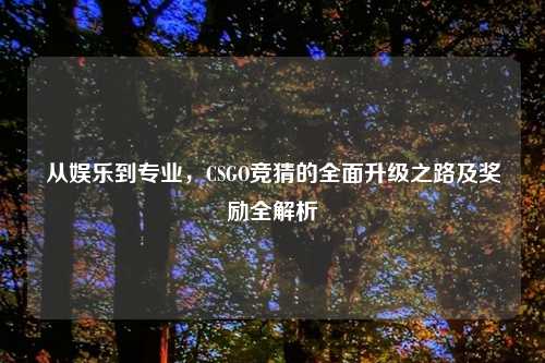 从娱乐到专业，CSGO竞猜的全面升级之路及奖励全解析