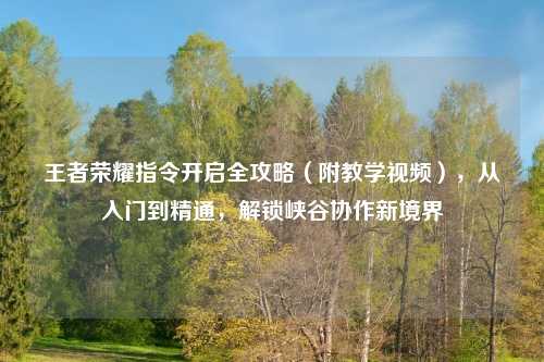 王者荣耀指令开启全攻略（附教学视频），从入门到精通，解锁峡谷协作新境界