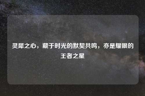 灵犀之心，藏于时光的默契共鸣，亦是耀眼的王者之星