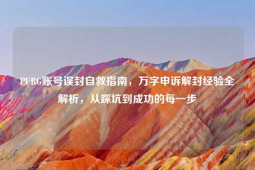 PUBG账号误封自救指南，万字申诉解封经验全解析，从踩坑到成功的每一步