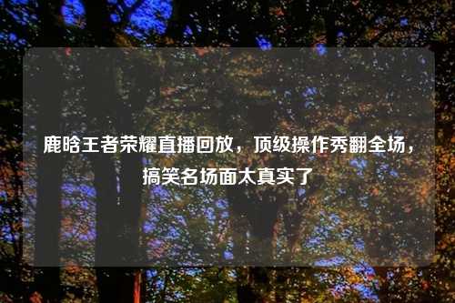 鹿晗王者荣耀直播回放，顶级操作秀翻全场，搞笑名场面太真实了