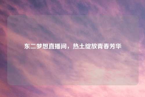 东二梦想直播间，热土绽放青春芳华