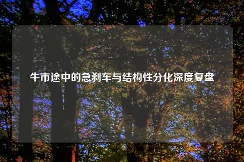 牛市途中的急刹车与结构性分化深度复盘