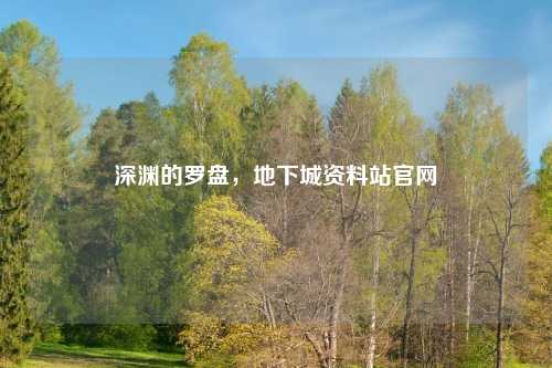 深渊的罗盘,地下城资料站官网