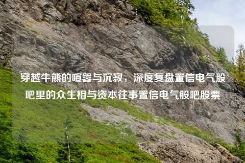穿越牛熊的喧嚣与沉寂，深度复盘置信电气股吧里的众生相与资本往事置信电气股吧股票
