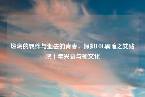 燃烧的羁绊与逝去的青春，深扒LOL黑暗之女贴吧十年兴衰与梗文化