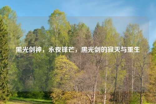 黑光剑神，永夜锋芒，黑光剑的寂灭与重生