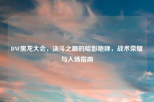 DNF黑龙大会，决斗之巅的暗影咆哮，战术荣耀与入场指南