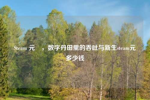 Steam 元炁，数字丹田里的吞吐与新生steam元炁多少钱