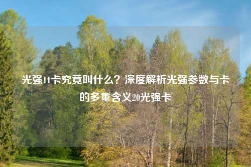 光强11卡究竟叫什么？深度解析光强参数与卡的多重含义20光强卡