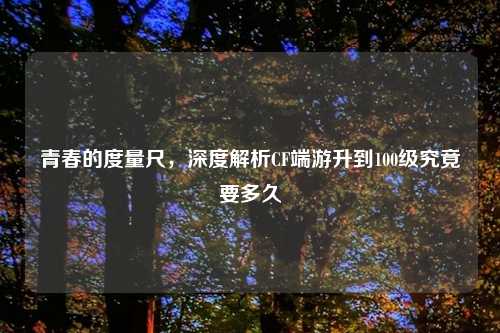 青春的度量尺，深度解析CF端游升到100级究竟要多久