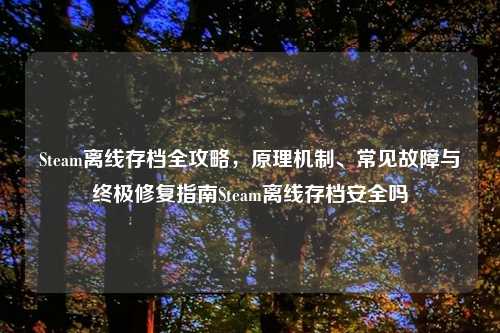 Steam离线存档全攻略，原理机制、常见故障与终极修复指南Steam离线存档安全吗