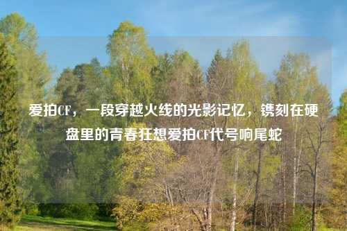 爱拍CF，一段穿越火线的光影记忆，镌刻在硬盘里的青春狂想爱拍CF代号响尾蛇