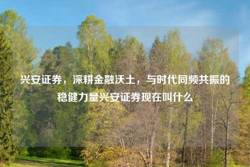 兴安证券，深耕金融沃土，与时代同频共振的稳健力量兴安证券现在叫什么