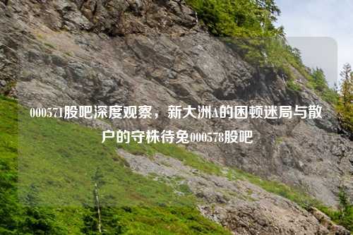 000571股吧深度观察，新大洲A的困顿迷局与散户的守株待兔000578股吧