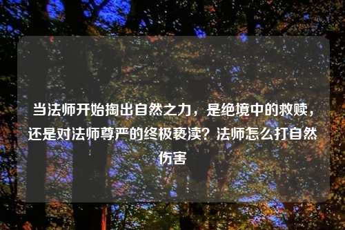 当法师开始掏出自然之力，是绝境中的救赎，还是对法师尊严的终极亵渎？法师怎么打自然伤害