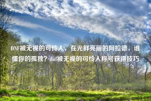 DNF被无视的可怜人，在光鲜亮丽的阿拉德，谁懂你的孤独？dnf被无视的可怜人称号获得技巧