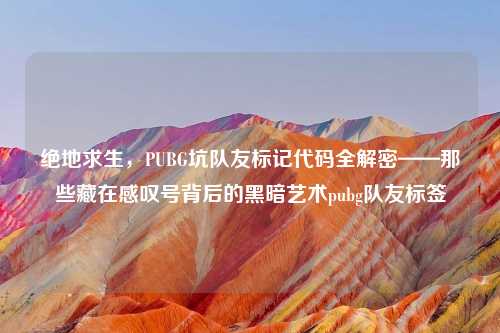 绝地求生，PUBG坑队友标记代码全解密——那些藏在感叹号背后的黑暗艺术pubg队友标签