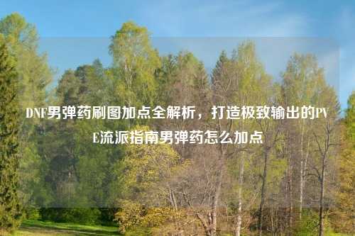 DNF男弹药刷图加点全解析，打造极致输出的PVE流派指南男弹药怎么加点