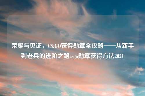 荣耀与见证，CS:GO获得勋章全攻略——从新手到老兵的进阶之路csgo勋章获得     2021